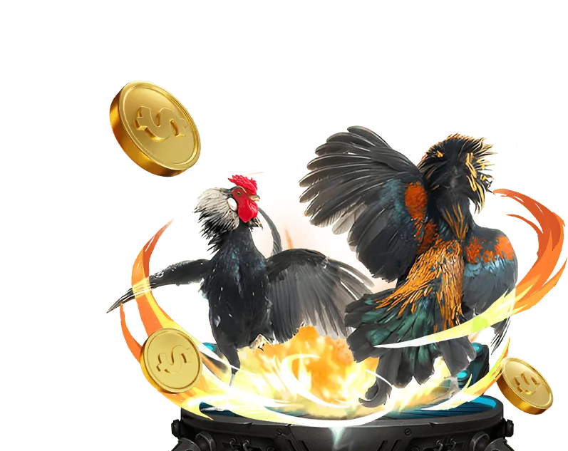 Các lợi ích khi hợp tác với gà 88